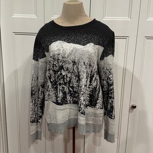 Christopher & Banks Sweater